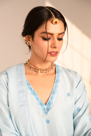 Neer Saaz