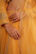 Kesar Organza Dupatta