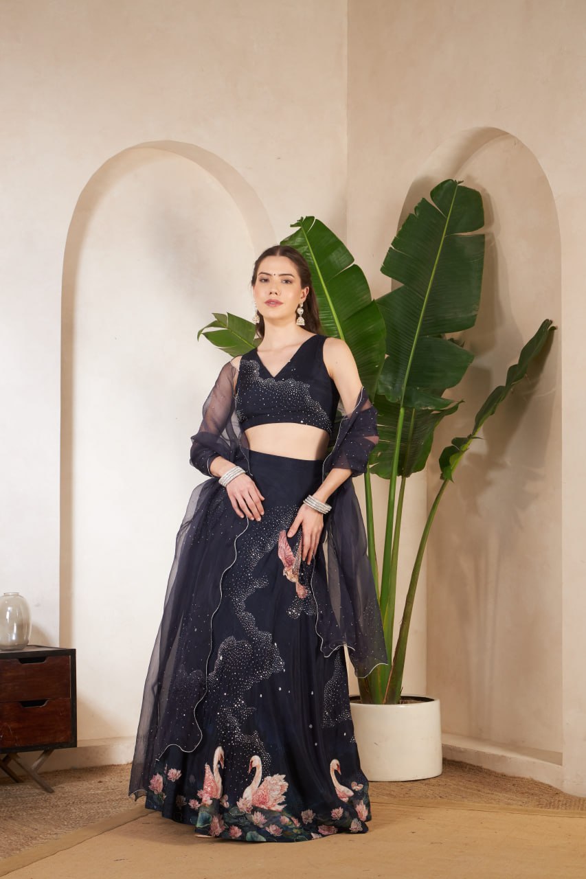 Starry Night Lehanga Set