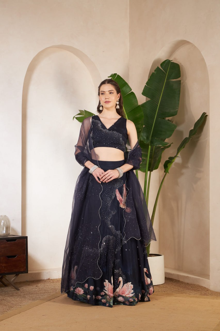 Starry Night Lehanga Set