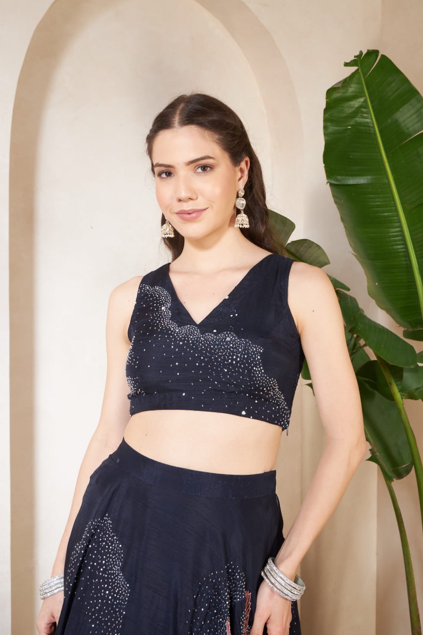 Starry Night Lehanga Set